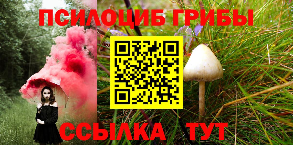 Еманжелинск  Псилоцибиновые грибы мицелий  даркнет сайт  Вход с VPN  Псилоцибиновые грибы GOLDEN TEACHER 