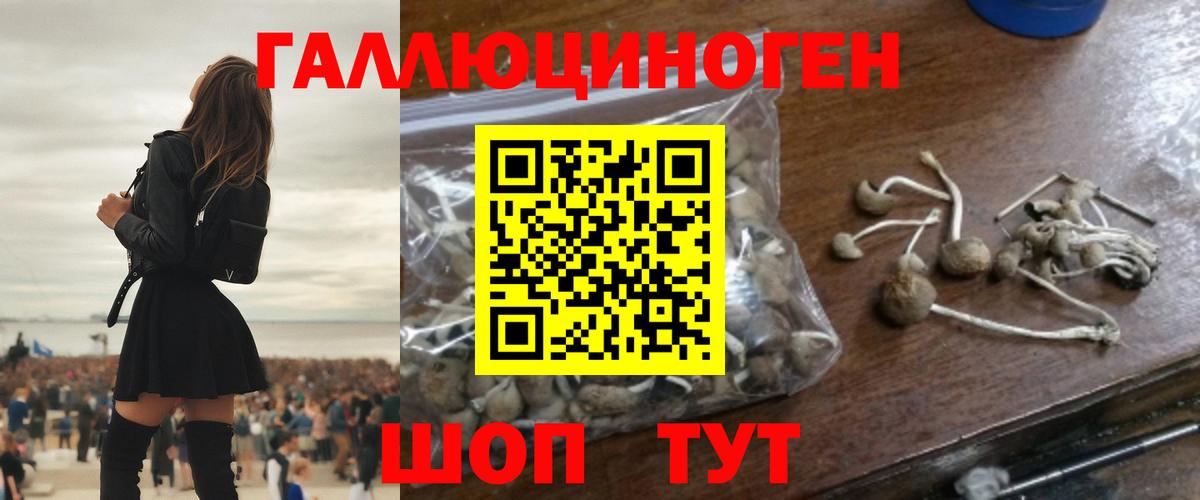 Галлюциногенные грибы мухоморы Еманжелинск